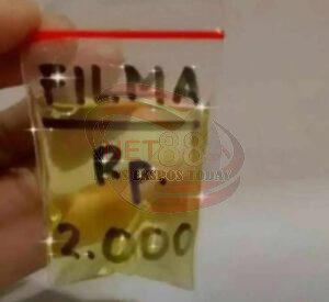 Setelah HET Dicabut, Tumpukan Minyak Goreng Penuhi Toko Modern