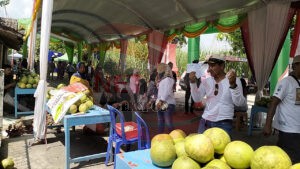 15.000 Jeruk Disiapkan Dalam Gebyar Kampung Pamelo Desa Pojoksari 2022