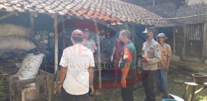 Antisipasi Penyakit PMK, Sinergitas Tiga Pilar Keliling Desa Datangi Peternak Sapi