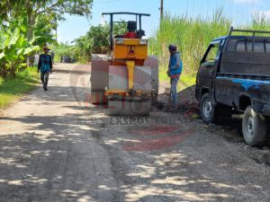 Jalan Dua Desa Diperbaiki Oleh Cak Nono
