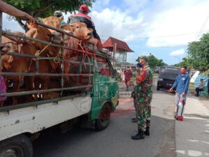 Antisipasi Penyebaran PMK, Koramil dan Polsek Galis Berikan Himbauan