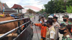 Pos Check Point di Perbatasan, Antisipasi Penyebaran PMK