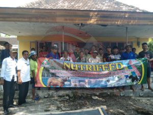 Cegah PMK, Aliansi Peternak Desa Tanjung Pecinan Bekerjasama Dengan NUTRIFEED Berikan Sosialisasi