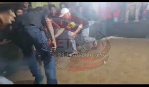 Jajaran Polres Sampang Terkesan Takut Kepada Bandar Judi Sabung Ayam