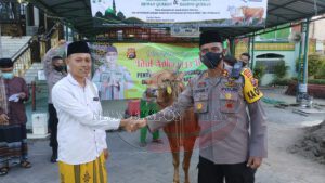 Polres Pamekasan Salurkan 17 Ekor Sapi di Sejumlah Wilayah