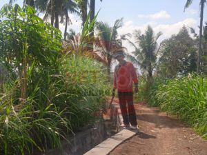 Proyek DD Ta 2022, Saluran Irigasi di Desa Jetis Diduga Dikerjakan Asal Jadi