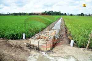 Aktor Dalam P3-TGAI di Bondowoso Semakin Terkuak, Siapa Saja Aktornya,,,!