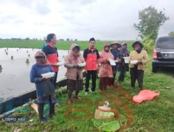 Konsisten Berbagi Jumat Barokah, LSM Perkasa Peduli Sosial