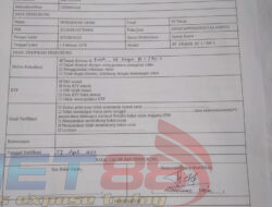 Bakal Calon DPD Siti Rafika Catut Nama Ketum Lembaga Perkasa Sebagai Bukti Dukungan di Situbondo