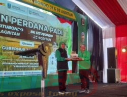 Panen Perdana Padi Jenis BK 01, 02 Agritan, Atasi Krisis Pangan