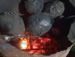 Kelapa Bakar Rempah, Unik dan Kaya Manfaat Hadir di Simeulue