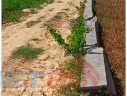 Sorotan Tajam !!! Kinerja PJ Kades Krampon Sampang Dipertanyakan