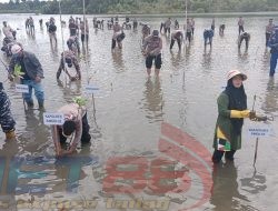 DLH Simeulue Apresiasi Penanaman 1.000 Pohon Mangrove
