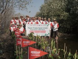 DUTATRANS Group Menanam 1.000 Mangrove Rhizophora di Pantai Mangunharjo, Semarang