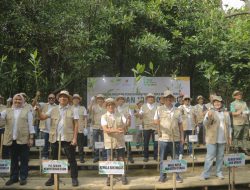 Kolaborasi LindungiHutan dan SKK Migas, Tanam 10.000 Pohon Mangrove dari Komitmen Penanaman 2 Juta Pohon