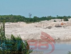 Diduga Milik Tambang Ilegal Dua Eksavator di Bukit Ketok Aman Beroperasi