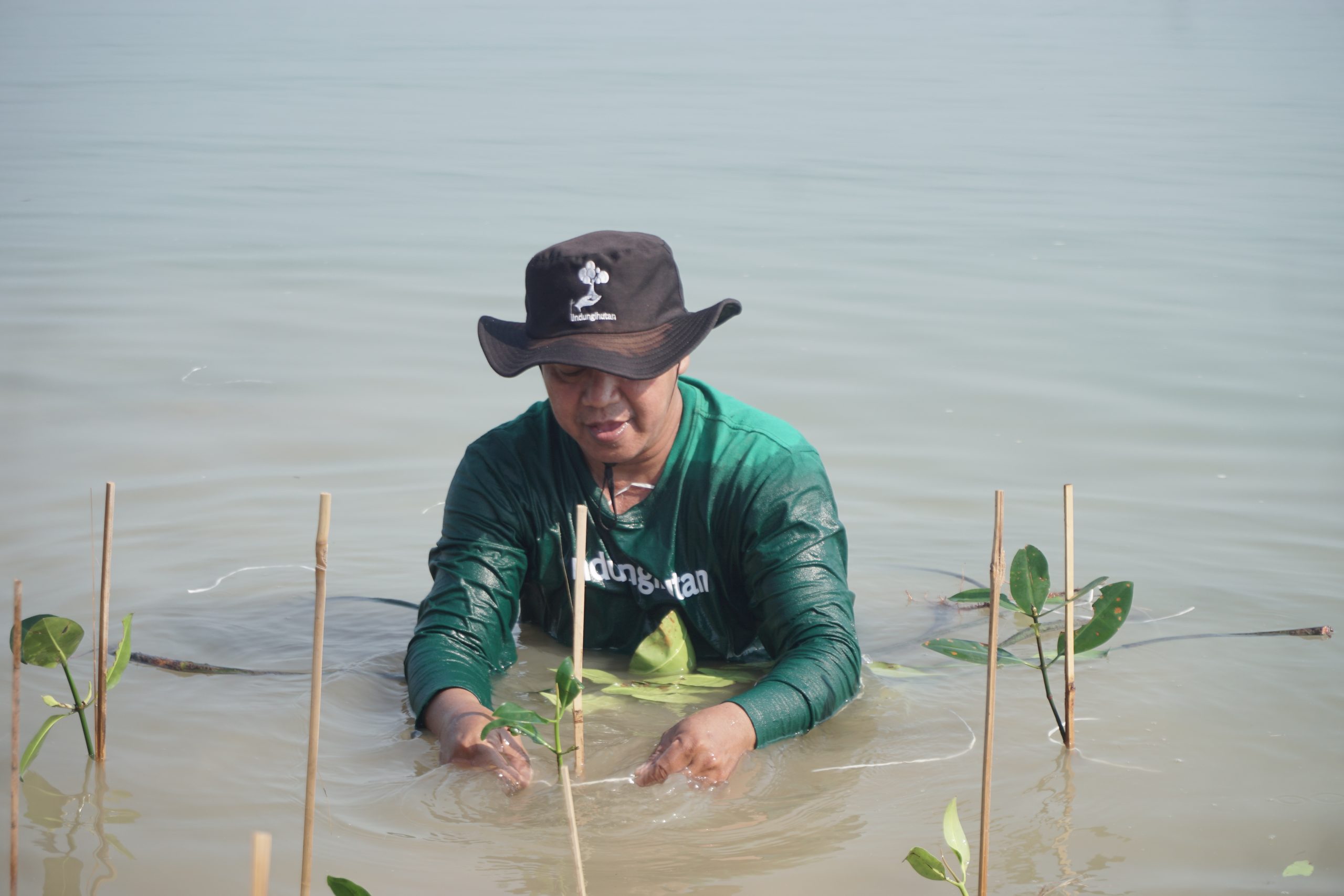 Wasito, mitra petani LindungiHutan (Dokumentasi: LindungiHutan).