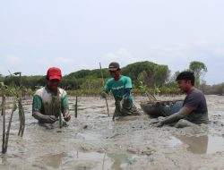 Penandatanganan Kerja Sama Antara Control New dan LindungiHutan Sepakat Hijaukan Desa Sukawali, Tangerang
