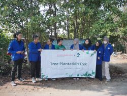 Tanam 1.000 Mangrove, Princeton Digital Group dan LindungiHutan Hijaukan Pesisir Kendal