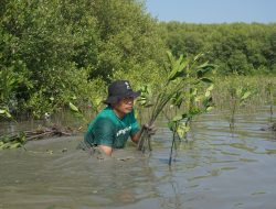 Peringati Hari Menanam Pohon Nasional, LindungiHutan Beri Diskon 30%