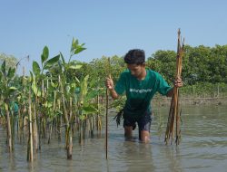 Alternatif Kegiatan CSR Lingkungan yang Berdampak dan Berkelanjutan
