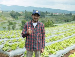 Wilayah Operasional Meluas di Jawa Timur,  Sayurbox Kini Hadir Membawa Kesegaran di Kota Malang