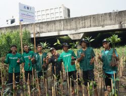 Gabung Aksi Semarang dan Tangerang Telah Dibuka, Satukan Langkah Hijaukan Bumi