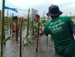Peran dan Kontribusi LindungiHutan dalam Mencapai SDGs