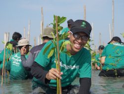 Capaian LindungiHutan Sepanjang 2023, Cek Selengkapnya!