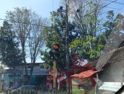 Pemasangan Tiang dan Kabel FO Semrawut, Pemkab dan DPRD Bondowoso Wajib Hadir Mencari Solusi