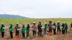 Polres Bondowoso Laksanakan Penanaman Jagung Serentak di Lahan 1 Juta Hektar